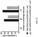 Fig. 16 - METHODS AND COMPOSITIONS FOR TREATING CANCER