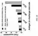 Fig. 17 - METHODS AND COMPOSITIONS FOR TREATING CANCER