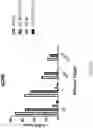 Fig. 27 - METHODS AND COMPOSITIONS FOR TREATING CANCER