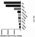 Fig. 55 - METHODS AND COMPOSITIONS FOR TREATING CANCER