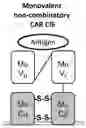 Fig. 01 - Antigen receptors and uses thereof