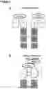 Fig. 03 - Antigen receptors and uses thereof