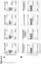 Fig. 09 - Antigen receptors and uses thereof