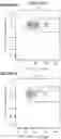 Fig. 03 - Nucleic acid molecules encoding an engineered antigen receptor and an inhibitory nucleic acid molecule and methods of use thereof