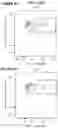 Fig. 06 - Nucleic acid molecules encoding an engineered antigen receptor and an inhibitory nucleic acid molecule and methods of use thereof
