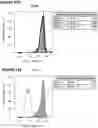 Fig. 32 - Nucleic acid molecules encoding an engineered antigen receptor and an inhibitory nucleic acid molecule and methods of use thereof