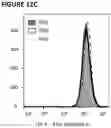 Fig. 35 - Nucleic acid molecules encoding an engineered antigen receptor and an inhibitory nucleic acid molecule and methods of use thereof
