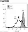 Fig. 37 - Nucleic acid molecules encoding an engineered antigen receptor and an inhibitory nucleic acid molecule and methods of use thereof