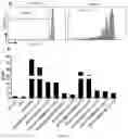 Fig. 02 - Method for amplifying CD8+T cells and cell subpopulations thereof in-vitro