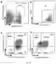 Fig. 06 - Method for amplifying CD8+T cells and cell subpopulations thereof in-vitro