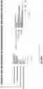 Fig. 07 - TRANSCRIPTION FACTORS CONTROLLING DIFFERENTIATION OF STEM CELLS
