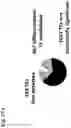Fig. 34 - TRANSCRIPTION FACTORS CONTROLLING DIFFERENTIATION OF STEM CELLS
