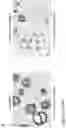Fig. 09 - THREE-DIMENSIONAL TISSUE STRUCTURES