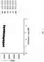 Fig. 04 - THIENOPYRROLE COMPOUNDS AND USES THEREOF