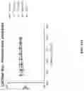 Fig. 33 - THIENOPYRROLE COMPOUNDS AND USES THEREOF