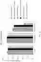 Fig. 05 - Downstream Processing of an Alkaline Phosphatase