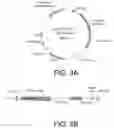 Fig. 04 - Lysosomal storage disease enzymes