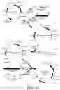 Fig. 19 - Lysosomal storage disease enzymes