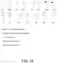 Fig. 25 - Lysosomal storage disease enzymes