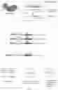 Fig. 02 - IN VITRO DNA WRITING FOR INFORMATION STORAGE