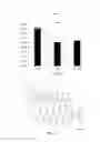 Fig. 37 - Automated instrumentation for production of peptide libraries