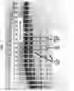 Fig. 02 - High Fidelity Restriction Endonucleases