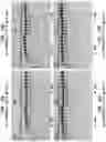 Fig. 11 - High Fidelity Restriction Endonucleases