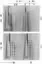 Fig. 14 - High Fidelity Restriction Endonucleases