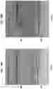 Fig. 20 - High Fidelity Restriction Endonucleases
