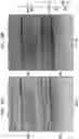 Fig. 24 - High Fidelity Restriction Endonucleases