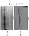 Fig. 26 - High Fidelity Restriction Endonucleases