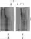 Fig. 28 - High Fidelity Restriction Endonucleases