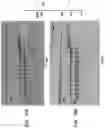 Fig. 30 - High Fidelity Restriction Endonucleases