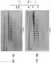 Fig. 31 - High Fidelity Restriction Endonucleases