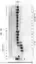 Fig. 42 - High Fidelity Restriction Endonucleases