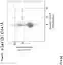 Fig. 12 - CRISPR DNA targeting enzymes and systems