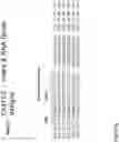 Fig. 69 - CRISPR DNA targeting enzymes and systems