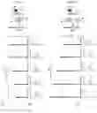 Fig. 02 - DNA WRITERS, MOLECULAR RECORDERS AND USES THEREOF