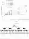 Fig. 43 - DNA WRITERS, MOLECULAR RECORDERS AND USES THEREOF