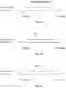 Fig. 02 - Compositions of asymmetric interfering RNA and uses thereof