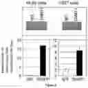 Fig. 09 - CHIMERIC RNA OLIGONUCLEOTIDES AND USES THEREOF