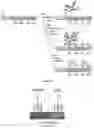 Fig. 12 - CHIMERIC RNA OLIGONUCLEOTIDES AND USES THEREOF