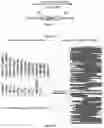 Fig. 14 - CHIMERIC RNA OLIGONUCLEOTIDES AND USES THEREOF