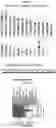 Fig. 15 - CHIMERIC RNA OLIGONUCLEOTIDES AND USES THEREOF