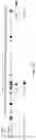 Fig. 25 - CHIMERIC RNA OLIGONUCLEOTIDES AND USES THEREOF