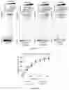 Fig. 33 - CHIMERIC RNA OLIGONUCLEOTIDES AND USES THEREOF