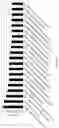 Fig. 43 - CHIMERIC RNA OLIGONUCLEOTIDES AND USES THEREOF