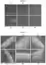 Fig. 03 - Anti-connexin compounds targeted to connexins and methods of use thereof
