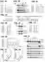 Fig. 02 - Inhibitors of CACNA1A/ALPHA1A subunit internal ribosomal entry site (IRES) and methods of treating spinocerebellar ataxia type 6
