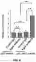 Fig. 10 - Inhibitors of CACNA1A/ALPHA1A subunit internal ribosomal entry site (IRES) and methods of treating spinocerebellar ataxia type 6